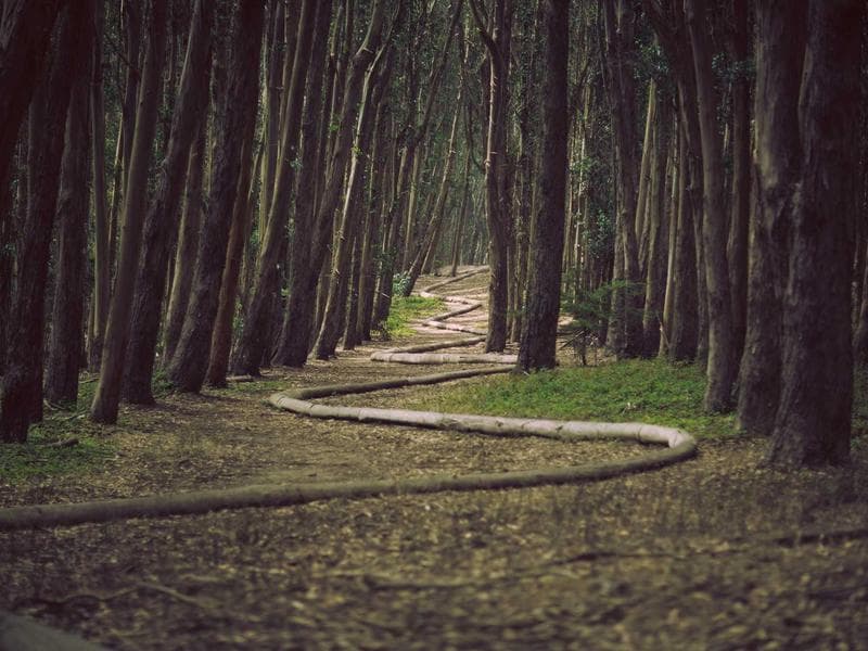 3-bed with outbuildings — photo 18 of 20