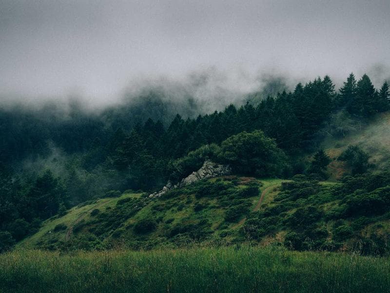 3-bed with outbuildings — photo 19 of 20