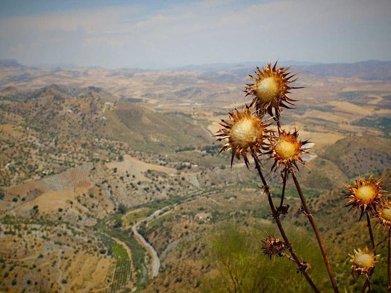 commercial · Mbabane — photo 14 of 20