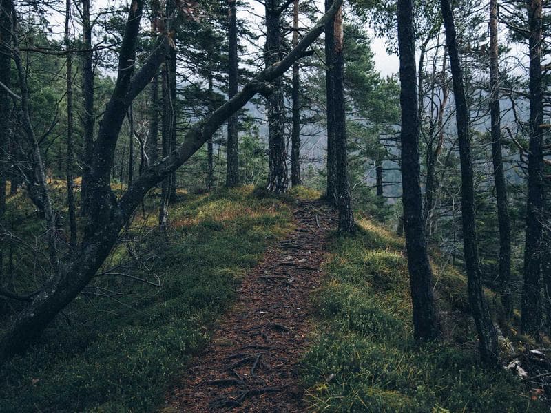 commercial · Mbabane — photo 6 of 20