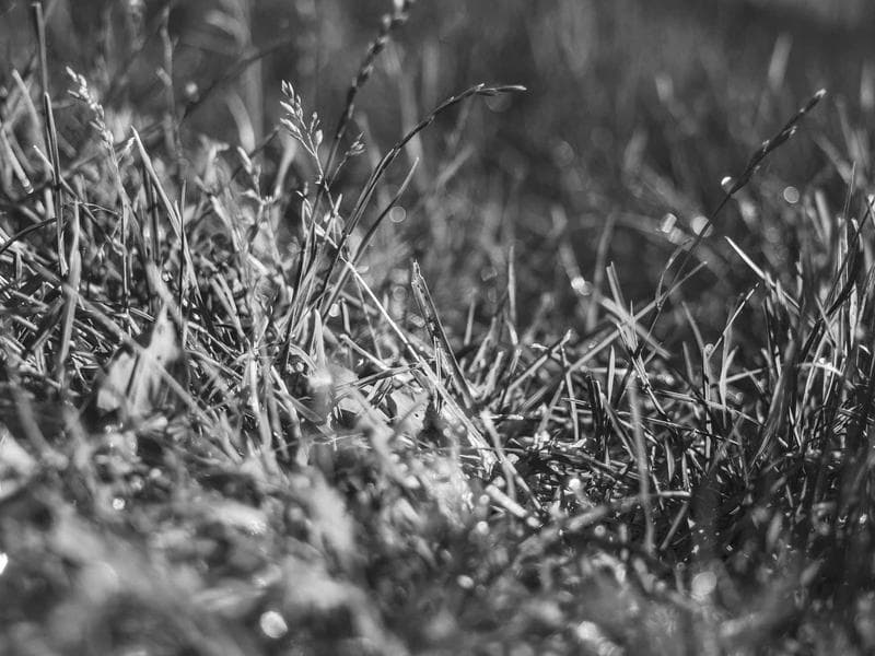 Smallholding · Ezulwini Valley — photo 20 of 20