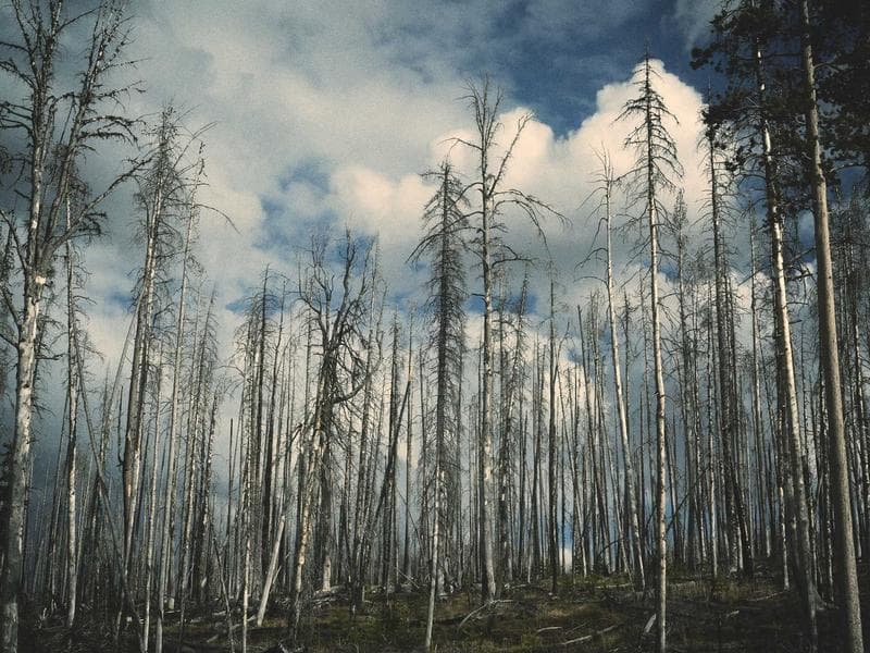 5-bed house · Piggs Peak — photo 6 of 20