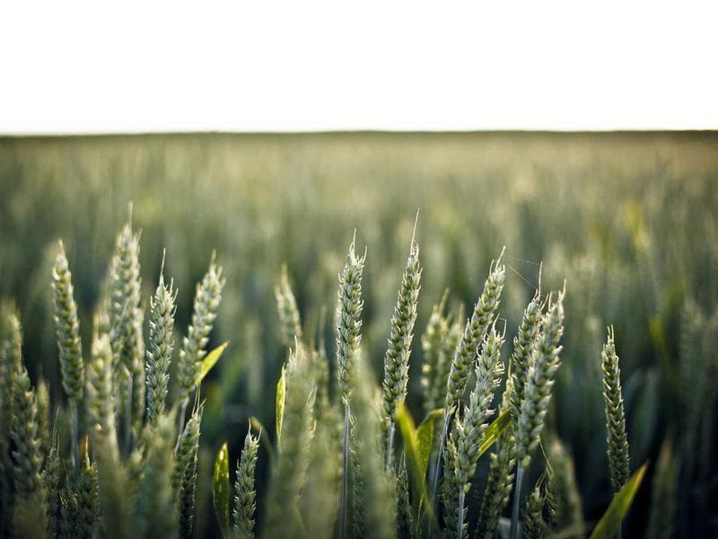 3-bed apartment to let · Manzini — photo 10 of 20