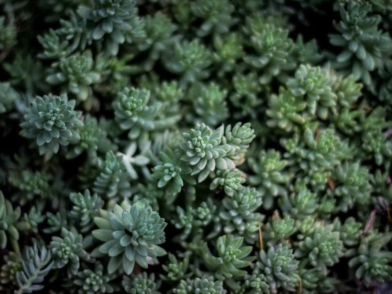 3-bed townhouse · Matsapha — photo 11 of 20