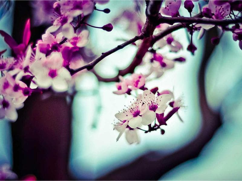 3-bed townhouse · Matsapha — photo 2 of 20