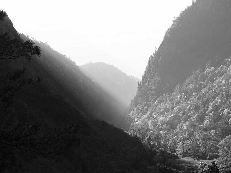 Plot · Big Bend — photo 17 of 20