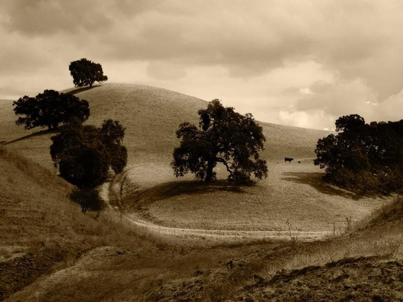 3-bed house · Hluti — photo 17 of 20