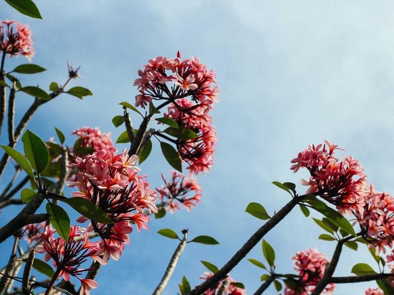 Plot to let · Ezulwini Valley — photo 18 of 20