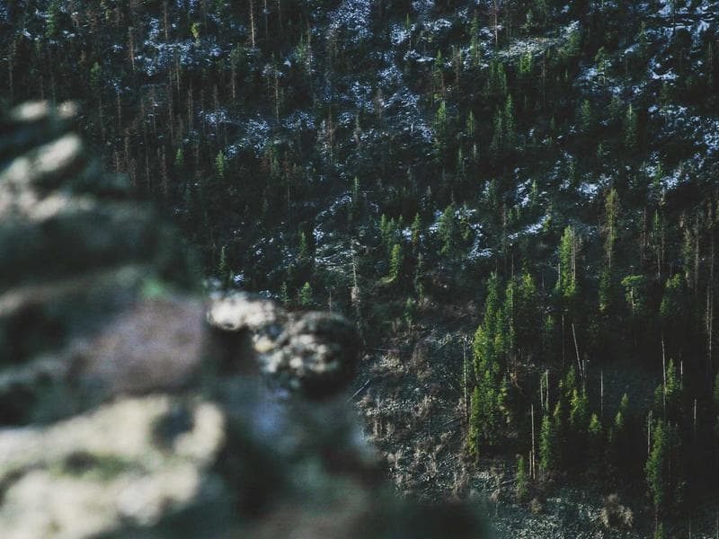 Plot to let · Ezulwini Valley — photo 2 of 20