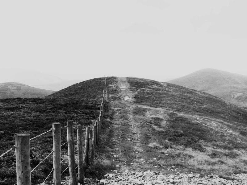 commercial · Piggs Peak — photo 4 of 20