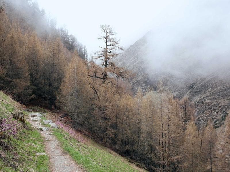 commercial · Piggs Peak — photo 7 of 20