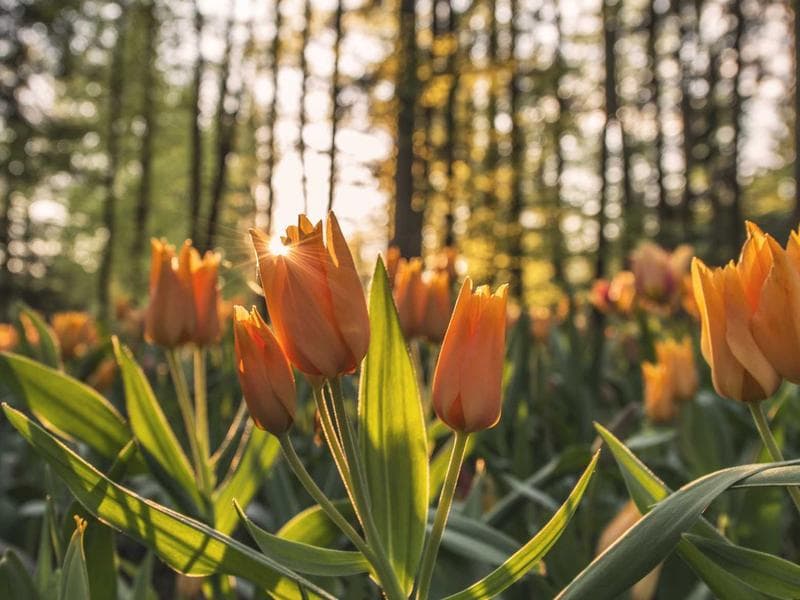 commercial · Hluti — photo 16 of 20