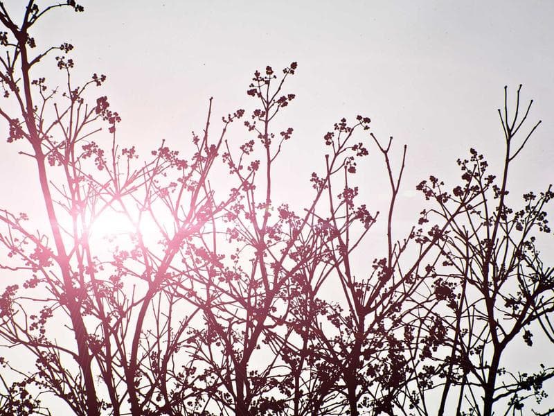 commercial · Hluti — photo 2 of 20