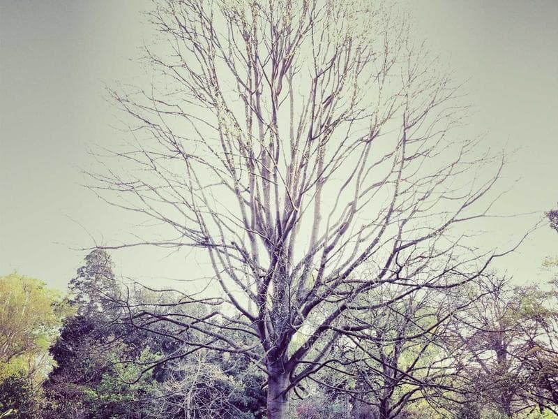 Executive apartment — photo 1 of 20