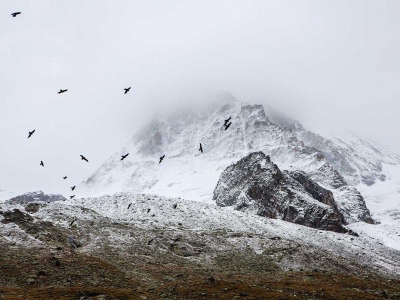 Smallholding to let · Lobamba — photo 4 of 20