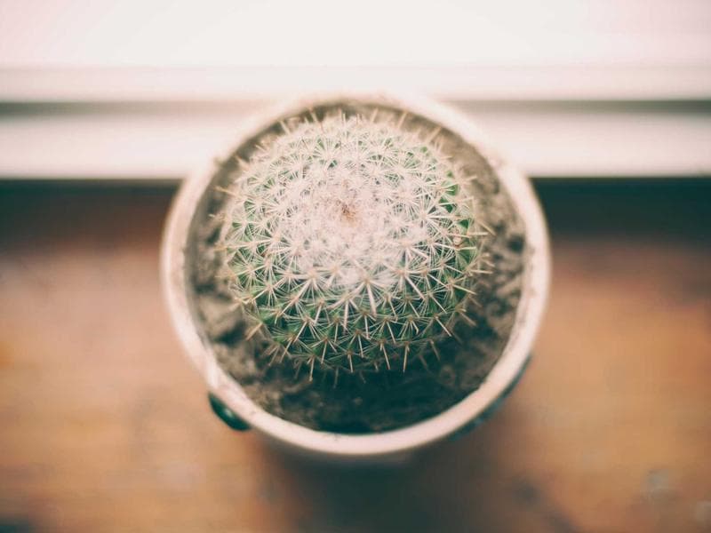 3-bed apartment · Ezulwini Valley — photo 12 of 20