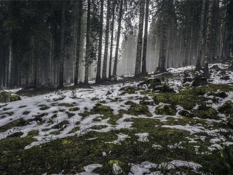 5-bed townhouse · Piggs Peak — photo 1 of 20