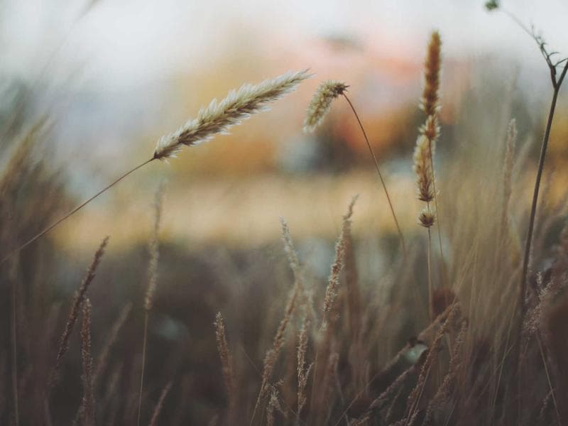 5-bed townhouse · Piggs Peak — photo 12 of 20