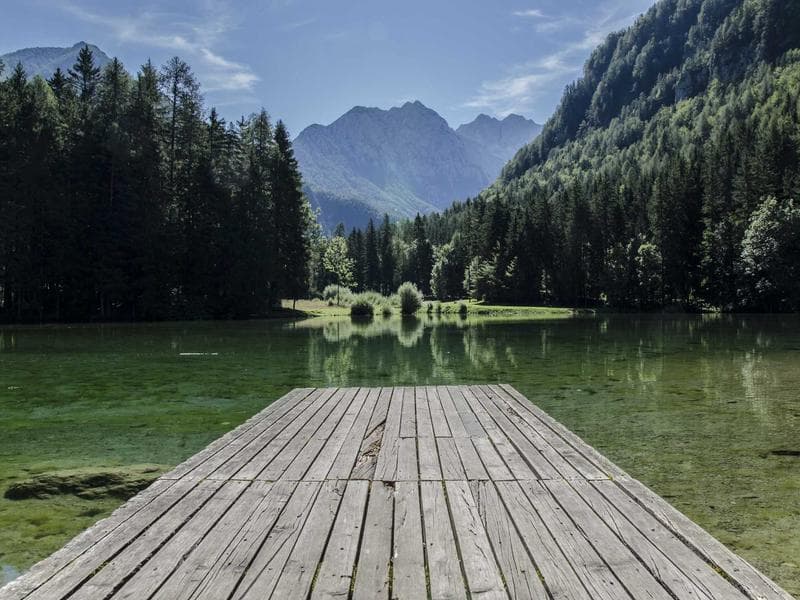 Plot to let · Manzini — photo 12 of 20