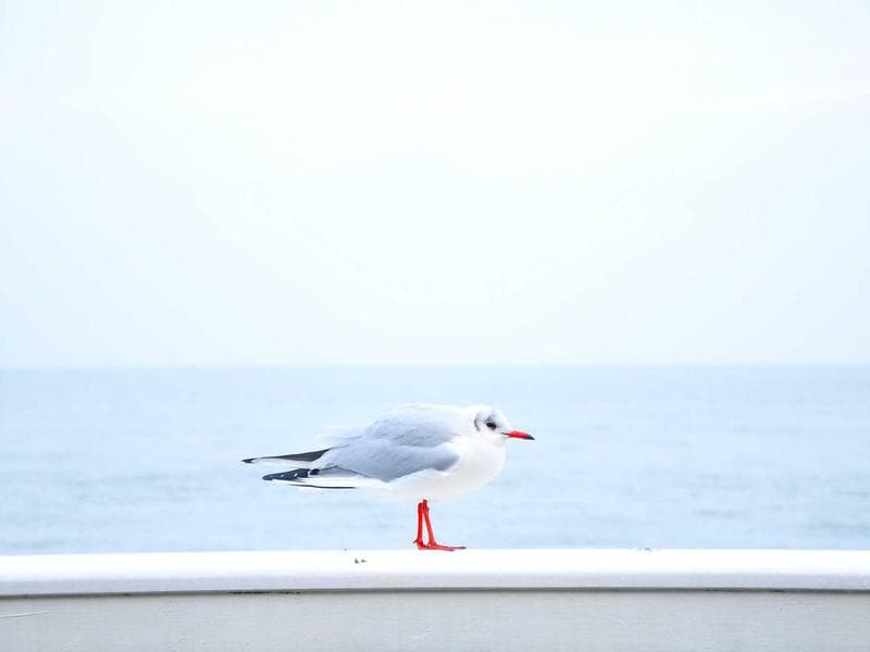 5-bed house · Siteki — photo 4 of 20