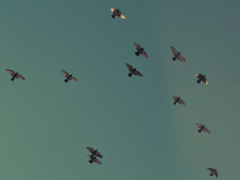 3-bed apartment to let · Nhlangano — photo 20 of 20