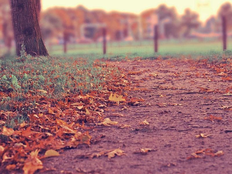 3-bed apartment to let · Nhlangano — photo 7 of 20