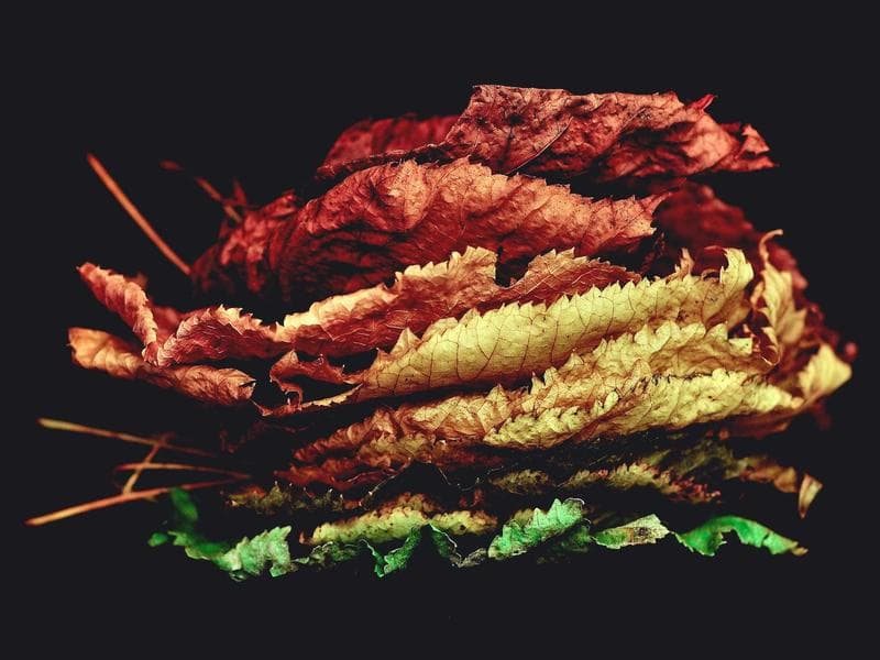 commercial · Mbabane — photo 7 of 20