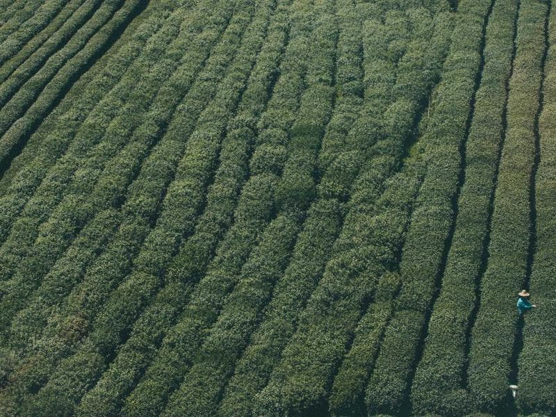 commercial · Mbabane — photo 8 of 20