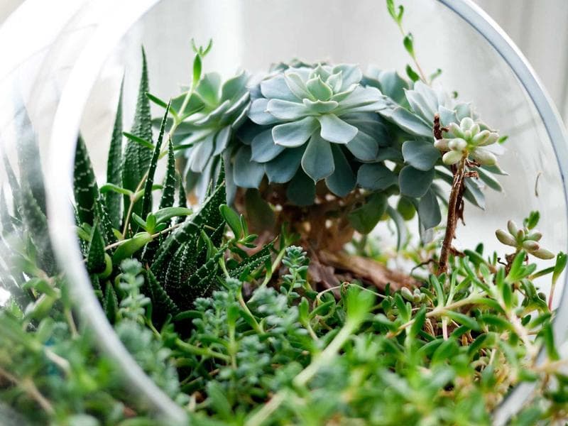 Smallholding to let · Ezulwini Valley — photo 12 of 20