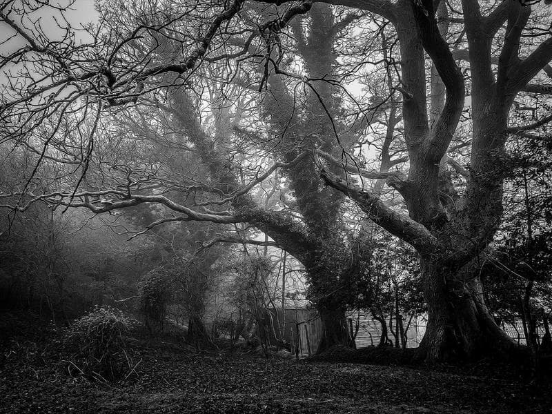 3-bed apartment · Manzini — photo 19 of 20