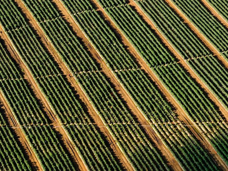 Smallholding · Nhlangano — photo 19 of 20