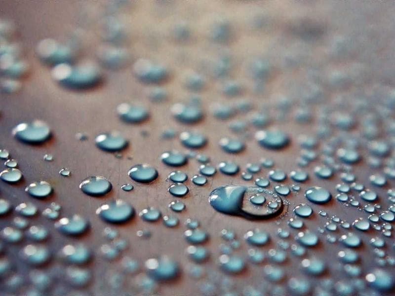 Smallholding · Nhlangano — photo 3 of 20