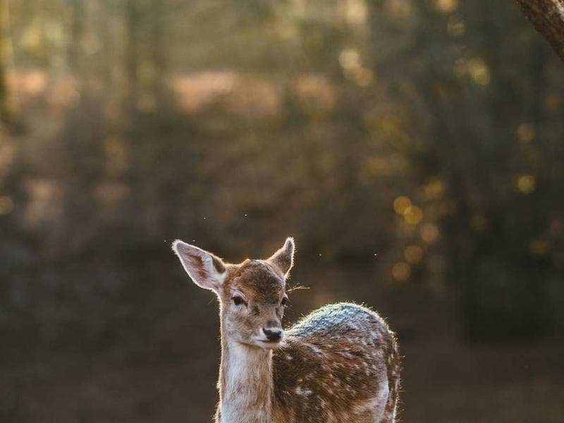 5-bed house · Hluti — photo 7 of 20