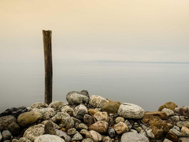 Smallholding to let · Manzini — photo 10 of 20