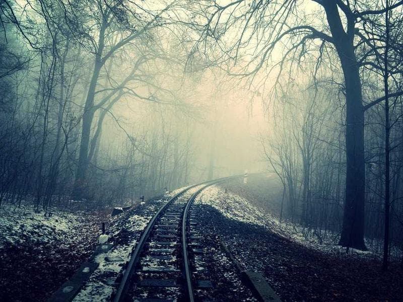 Smallholding to let · Manzini — photo 16 of 20