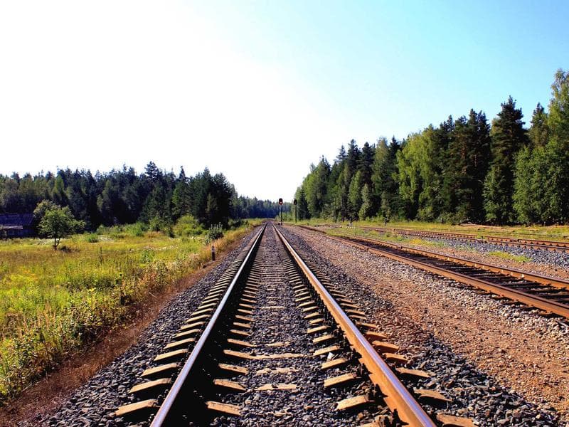 Smallholding to let · Manzini — photo 17 of 20