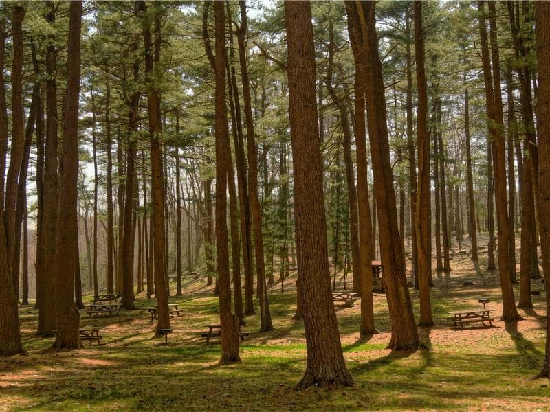 5-bed house · Hluti — photo 17 of 20