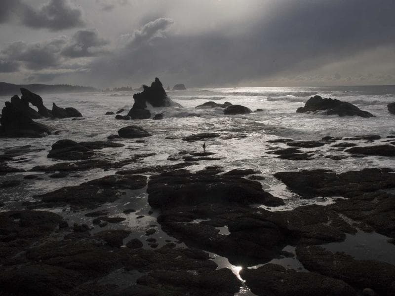 Garden cottage with valley views — photo 10 of 20