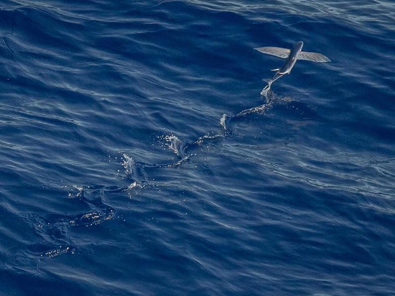 3-bed apartment to let · Lobamba — photo 5 of 20