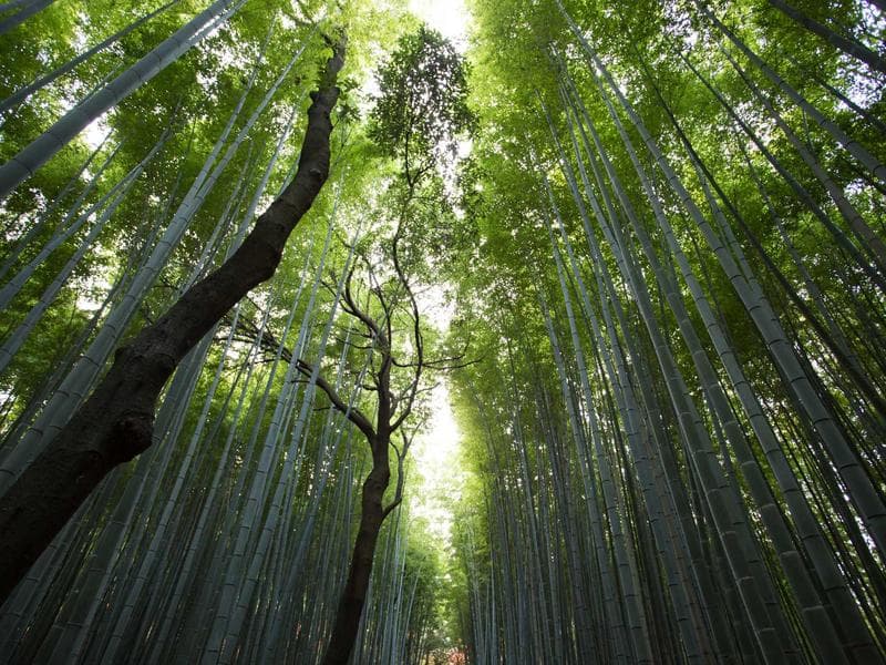 3-bed townhouse · Mbabane — photo 2 of 20