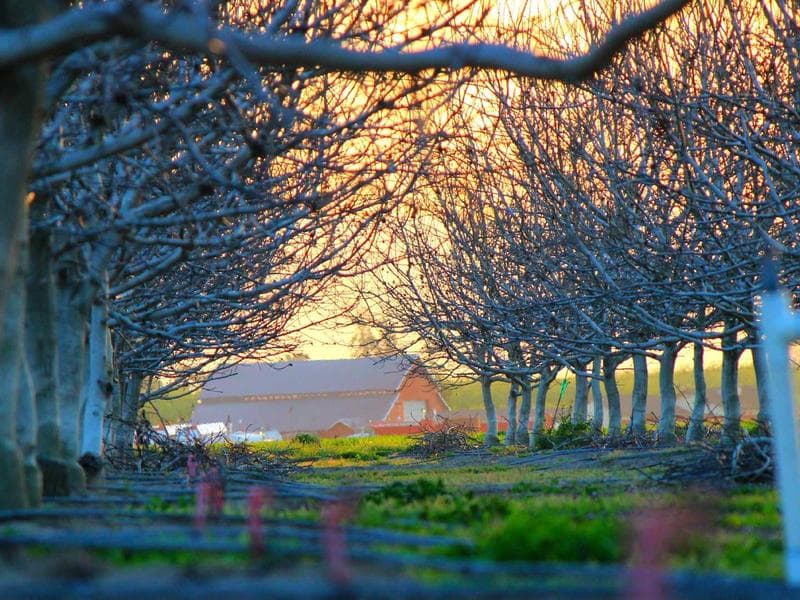 3-bed townhouse · Mbabane — photo 20 of 20
