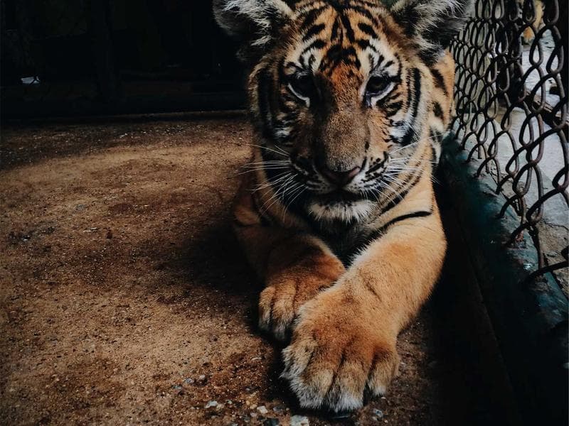 Plot · Ezulwini Valley — photo 3 of 20