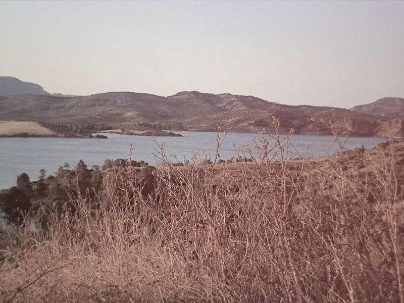 Plot · Ezulwini Valley — photo 6 of 20