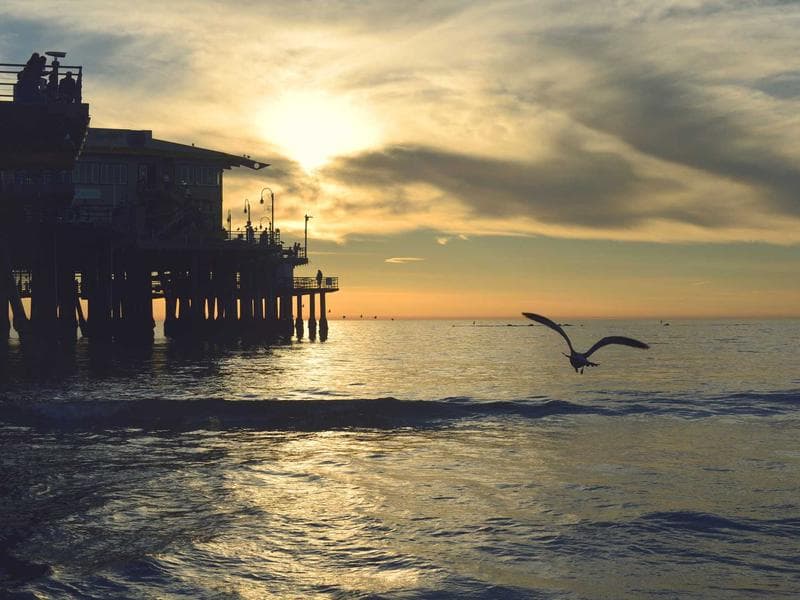 commercial · Piggs Peak — photo 13 of 20