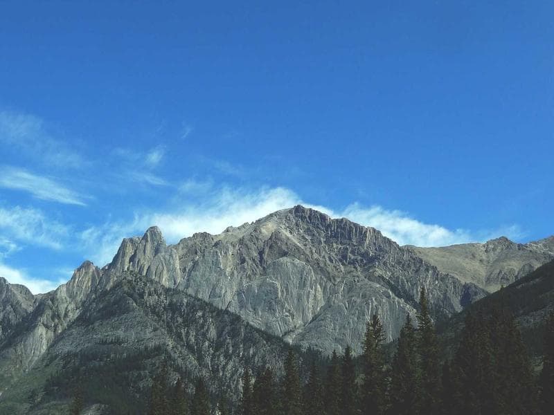 commercial · Piggs Peak — photo 3 of 20