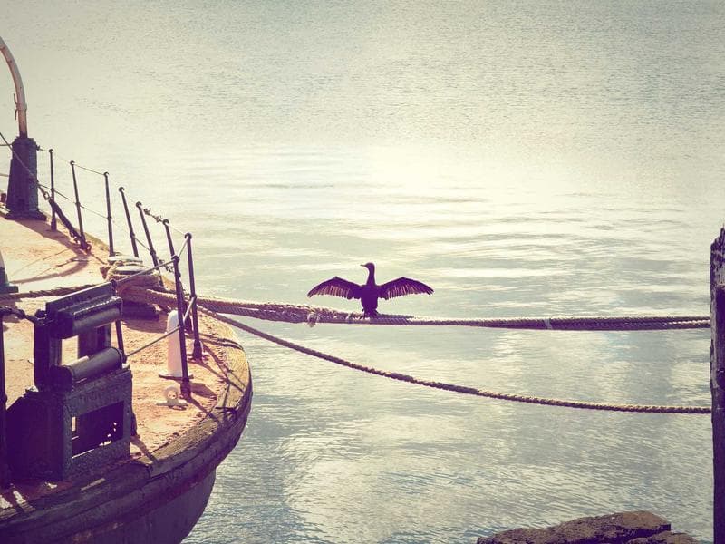 Smallholding to let · Manzini — photo 14 of 20