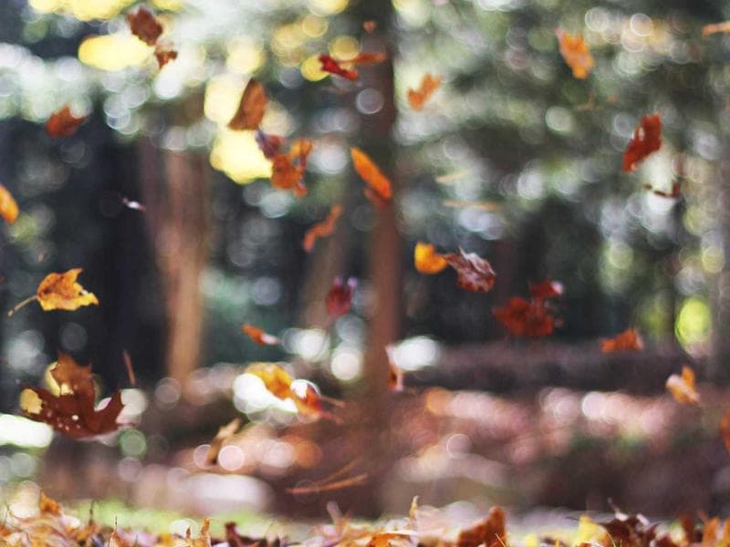 3-bed apartment · Big Bend — photo 16 of 20