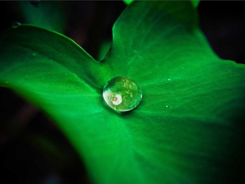 5-bed townhouse · Siteki — photo 15 of 20