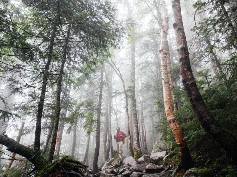 Plot to let · Nhlangano — photo 18 of 20