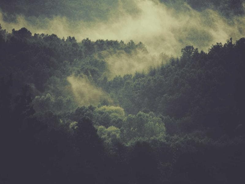 commercial · Hluti — photo 17 of 20